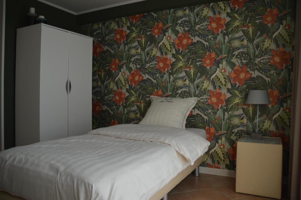 זונבקה B&B The Protea מראה חיצוני תמונה