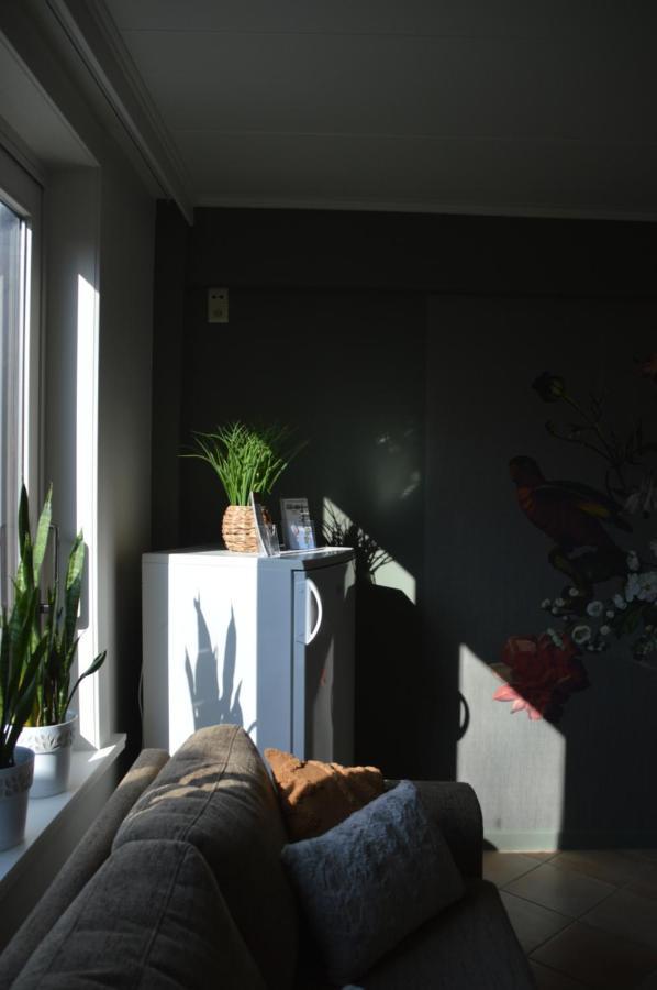 זונבקה B&B The Protea מראה חיצוני תמונה